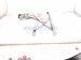 2018 Toyota Corolla Front Passenger Window Regulator & Motor 69801 02300 Replacement 2018 Toyota Corolla Front Passenger Window Regulator & Motor 69801 02300 Replacement thumbnail