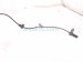 2022 Honda Civic Front Passenger Abs Wheel Speed Sensor 2.0l 57450 T20 A01 Replacement 2022 Honda Civic Front Passenger Abs Wheel Speed Sensor 2.0l 57450 T20 A01 Replacement thumbnail