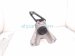 2022 Honda Civic Engine/motor Passenger Engine Mount 2.0l Fwd Sport 50820 T21 A12 Replacement 2022 Honda Civic Engine/motor Passenger Engine Mount 2.0l Fwd Sport 50820 T21 A12 Replacement thumbnail