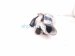 2023 Volkswagen Taos Secondary Air Injection Pump 1.5t 05E 959 253 Replacement 2023 Volkswagen Taos Secondary Air Injection Pump 1.5t 05E 959 253 Replacement thumbnail