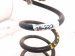 2024 Acura Integra Strut / / Shock Absorber Rear Driver Coil Spring Sedan 2.0l 52441 31M A01 Replacement 2024 Acura Integra Strut / / Shock Absorber Rear Driver Coil Spring Sedan 2.0l 52441 31M A01 Replacement thumbnail