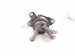 2024 Chevy Corvette Engine/motor Front Passenger Engine Mount 6.2l A/t 85550977 Replacement 2024 Chevy Corvette Engine/motor Front Passenger Engine Mount 6.2l A/t 85550977 Replacement thumbnail