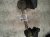2015 Lexus Rx350 Rear Stabilizer / Sway Bar 48812 0E020 Replacement 2015 Lexus Rx350 Rear Stabilizer / Sway Bar 48812 0E020 Replacement thumbnail