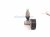 2022 Honda Civic Auto Belt Tensioner W/pulley 2.0l 31170 5A2 A03 Replacement 2022 Honda Civic Auto Belt Tensioner W/pulley 2.0l 31170 5A2 A03 Replacement thumbnail