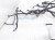 2024 Honda Prologue Engine Room Harness W/fusebox Replacement 2024 Honda Prologue Engine Room Harness W/fusebox Replacement thumbnail