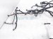 2024 Honda Prologue Engine Room Harness W/fusebox Replacement 2024 Honda Prologue Engine Room Harness W/fusebox Replacement thumbnail