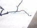 2024 Honda Prologue Engine Room Harness W/fusebox Replacement 2024 Honda Prologue Engine Room Harness W/fusebox Replacement thumbnail