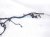 2024 Honda Prologue Engine Room Harness W/fusebox Replacement 2024 Honda Prologue Engine Room Harness W/fusebox Replacement thumbnail