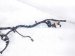 2024 Honda Prologue Engine Room Harness W/fusebox Replacement 2024 Honda Prologue Engine Room Harness W/fusebox Replacement thumbnail