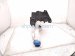 2023 Volkswagen Taos Windshield Washer Reservoir Tank 2GJ 955 453 A Replacement 2023 Volkswagen Taos Windshield Washer Reservoir Tank 2GJ 955 453 A Replacement thumbnail