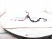 2023 Volkswagen Taos Positive Battery Cable 1.5t Fwd 5Q0 971 228 Replacement 2023 Volkswagen Taos Positive Battery Cable 1.5t Fwd 5Q0 971 228 Replacement thumbnail