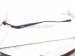 2020 Ford Explorer Passenger Windshield Wiper Arm LB5Z 17526 A Replacement 2020 Ford Explorer Passenger Windshield Wiper Arm LB5Z 17526 A Replacement thumbnail