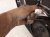 2024 Honda HR V Rear Driver Door Black No Inside Trim 67550 3W0 A00ZZ Replacement 2024 Honda HR V Rear Driver Door Black No Inside Trim 67550 3W0 A00ZZ Replacement thumbnail