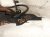 2022 Toyota Prius Hood Lock / Latch Assy 53510 47170 Replacement 2022 Toyota Prius Hood Lock / Latch Assy 53510 47170 Replacement thumbnail