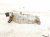 2022 Toyota Prius Egr Cooler Prime 25601 37020 Replacement 2022 Toyota Prius Egr Cooler Prime 25601 37020 Replacement thumbnail
