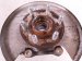 2021 Chevy Blazer Axle Stub Rear Driver Spindle Knuckle Hub Awd 13536583 Replacement 2021 Chevy Blazer Axle Stub Rear Driver Spindle Knuckle Hub Awd 13536583 Replacement thumbnail