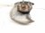 2021 Chevy Blazer Front Passenger Spindle Knuckle Hub Awd 84560118 Replacement 2021 Chevy Blazer Front Passenger Spindle Knuckle Hub Awd 84560118 Replacement thumbnail