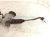2021 Chevy Blazer And / Gear Box Power Steering Rack & Pinion 85735177 Replacement 2021 Chevy Blazer And / Gear Box Power Steering Rack & Pinion 85735177 Replacement thumbnail