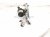 2026 Toyota Camry Front Arms Frt Windshield Wiper Motor & Linkage 85150 AQ010 Replacement 2026 Toyota Camry Front Arms Frt Windshield Wiper Motor & Linkage 85150 AQ010 Replacement thumbnail
