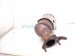 2022 Honda Civic Exhaust Converter Manifold 2.0l Fwd 18150 64S L00 Replacement 2022 Honda Civic Exhaust Converter Manifold 2.0l Fwd 18150 64S L00 Replacement thumbnail