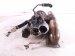 2018 BMW X5 Turbocharger 81k 11657643115 Replacement 2018 BMW X5 Turbocharger 81k 11657643115 Replacement thumbnail