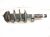2024 Honda Accord Front Driver Strut Absorber + Spring 51620 30B A91 Replacement 2024 Honda Accord Front Driver Strut Absorber + Spring 51620 30B A91 Replacement thumbnail