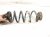 2024 Honda Accord Strut / / Shock Absorber Rear Passenger Coil Spring Sport 2.0l 52441 30A A51 Replacement 2024 Honda Accord Strut / / Shock Absorber Rear Passenger Coil Spring Sport 2.0l 52441 30A A51 Replacement thumbnail