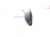 2024 Honda HR V Roof Antenna Black 8A150 3V0 A51ZA Replacement 2024 Honda HR V Roof Antenna Black 8A150 3V0 A51ZA Replacement thumbnail