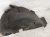 2024 Acura Integra Rear Driver Inner Fender Liner 74592 31M A00 Replacement 2024 Acura Integra Rear Driver Inner Fender Liner 74592 31M A00 Replacement thumbnail