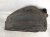 2024 Acura Integra Rear Driver Inner Fender Liner 74592 31M A00 Replacement 2024 Acura Integra Rear Driver Inner Fender Liner 74592 31M A00 Replacement thumbnail
