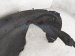 2011 Porsche Panamera Front Passenger Inner Fender Liner 970 504 126 04 Replacement 2011 Porsche Panamera Front Passenger Inner Fender Liner 970 504 126 04 Replacement thumbnail