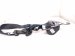 2018 BMW X5 Rear Driver Seat Belt Assy Black 72 11 7 384 677 Replacement 2018 BMW X5 Rear Driver Seat Belt Assy Black 72 11 7 384 677 Replacement thumbnail