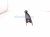 Sold 2025 Subaru Forester Rear Driver Trailing Lower Control Arm 20250FL001 Replacement Sold 2025 Subaru Forester Rear Driver Trailing Lower Control Arm 20250FL001 Replacement thumbnail
