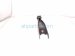 Sold 2025 Subaru Forester Rear Driver Trailing Lower Control Arm 20250FL001 Replacement Sold 2025 Subaru Forester Rear Driver Trailing Lower Control Arm 20250FL001 Replacement thumbnail