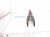 2025 Subaru Forester Rear Driver Strut Mount Lower Control Arm 20250FL040 Replacement 2025 Subaru Forester Rear Driver Strut Mount Lower Control Arm 20250FL040 Replacement thumbnail