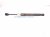 2024 Chevy Corvette Rear Passenger Tailgate Lift Support Strut 19324383 Replacement 2024 Chevy Corvette Rear Passenger Tailgate Lift Support Strut 19324383 Replacement thumbnail