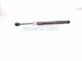 2024 Chevy Corvette Rear Passenger Tailgate Lift Support Strut 19324383 Replacement 2024 Chevy Corvette Rear Passenger Tailgate Lift Support Strut 19324383 Replacement thumbnail