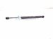 2024 Chevy Corvette Rear Driver Tailgate Lift Support Strut 19324383 Replacement 2024 Chevy Corvette Rear Driver Tailgate Lift Support Strut 19324383 Replacement thumbnail