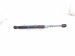 2024 Chevy Corvette Rear Driver Tailgate Lift Support Strut 19324383 Replacement 2024 Chevy Corvette Rear Driver Tailgate Lift Support Strut 19324383 Replacement thumbnail