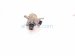 2023 Toyota Corollacs High Pressure Fuel Pump Engine Mtd 23101 F0010 Replacement 2023 Toyota Corollacs High Pressure Fuel Pump Engine Mtd 23101 F0010 Replacement thumbnail
