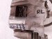 2020 Honda Pilot Core Core Rear Driver Brake Caliper 43019 TZ5 A02 Replacement 2020 Honda Pilot Core Core Rear Driver Brake Caliper 43019 TZ5 A02 Replacement thumbnail