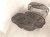 2024 Jeep Grand Cherokee Gas / Fuel Tank 68538080AD Replacement 2024 Jeep Grand Cherokee Gas / Fuel Tank 68538080AD Replacement thumbnail