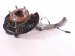 2024 Jeep Grand Cherokee Front Passenger Spindle Knuckle Hub Awd 68483788AE Replacement 2024 Jeep Grand Cherokee Front Passenger Spindle Knuckle Hub Awd 68483788AE Replacement thumbnail