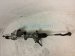 2024 Jeep Grand Cherokee And / Gear Box Power Steering Rack & Pinion 68628263AB Replacement 2024 Jeep Grand Cherokee And / Gear Box Power Steering Rack & Pinion 68628263AB Replacement thumbnail