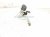2022 Toyota Prius Hose / / Line Ac Discharge Pipe Expansion Valve 88690 47040 Replacement 2022 Toyota Prius Hose / / Line Ac Discharge Pipe Expansion Valve 88690 47040 Replacement thumbnail