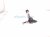 2025 Subaru Forester Rear Passenger Forward Lower Control Arm 20250FL010 Replacement 2025 Subaru Forester Rear Passenger Forward Lower Control Arm 20250FL010 Replacement thumbnail
