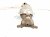 2024 Honda Accord Exhaust Manifold 2.0l Hybrid 18150 6NH A00 Replacement 2024 Honda Accord Exhaust Manifold 2.0l Hybrid 18150 6NH A00 Replacement thumbnail