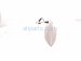 2021 Chevy Blazer Antenna Roof Mtd Grey Housing 84703350 Replacement 2021 Chevy Blazer Antenna Roof Mtd Grey Housing 84703350 Replacement thumbnail