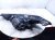 2024 Chevy Corvette Headlight Passenger Headlamp / Light 85869243 Replacement 2024 Chevy Corvette Headlight Passenger Headlamp / Light 85869243 Replacement thumbnail