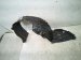 2022 Toyota Prius Front Driver Inner Fender Liner 53876 47130 Replacement 2022 Toyota Prius Front Driver Inner Fender Liner 53876 47130 Replacement thumbnail